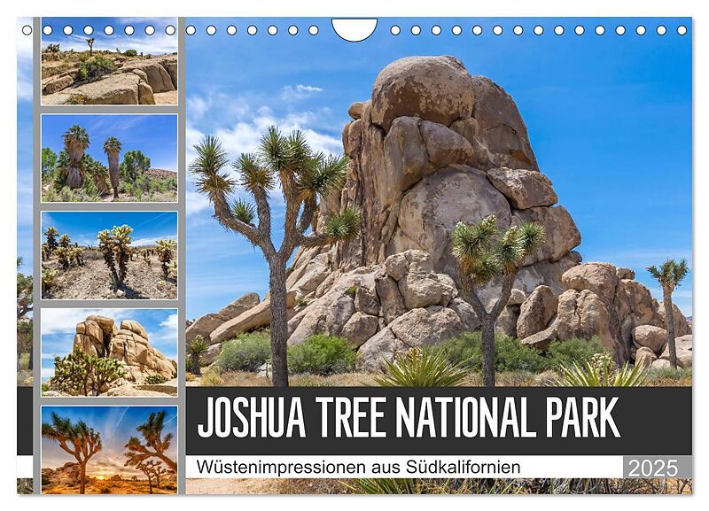 JOSHUA TREE NATIONAL PARK Wüstenimpressionen aus Südkalifornien (Wandkalender 2025 DIN A4 quer), CALVENDO Monatskalender