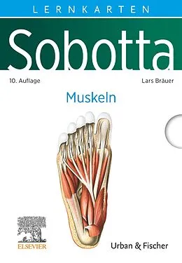 E-Book (epub) Sobotta Lernkarten Muskeln von Lars Bräuer