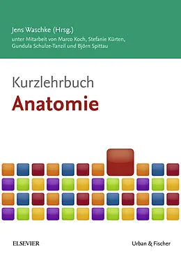 E-Book (epub) Kurzlehrbuch Anatomie von Marco Koch, Stefanie Kürten, Gundula Schulze-Tanzil