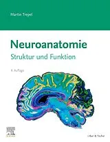 Kartonierter Einband Neuroanatomie von Martin Trepel