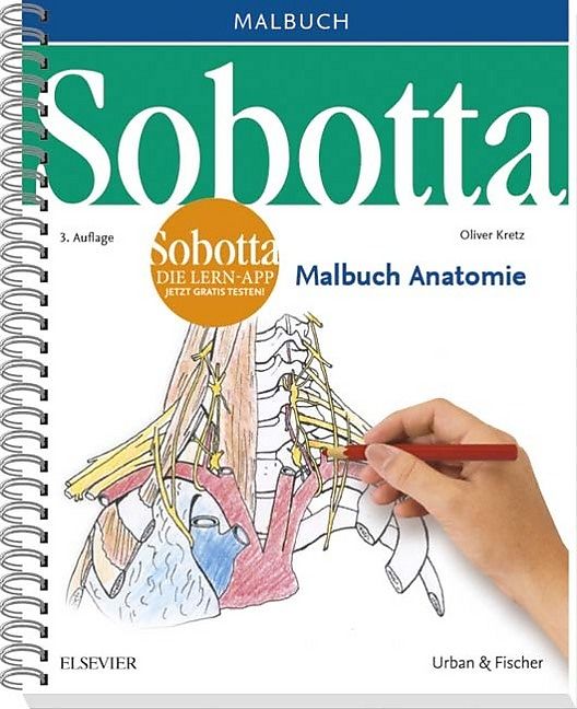 Sobotta Malbuch Anatomie - Oliver Kretz - Buch kaufen | Ex ...