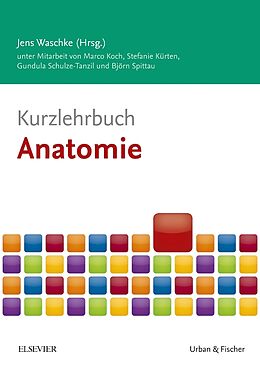 Kartonierter Einband Kurzlehrbuch Anatomie von Marco Koch, Stefanie Kürten, Gundula Schulze-Tanzil