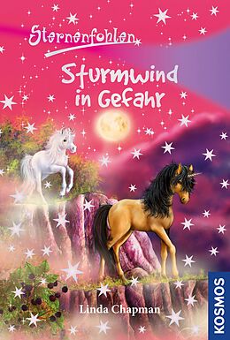 E-Book (epub) Sternenfohlen, 15, Sturmwind in Gefahr von Linda Chapman
