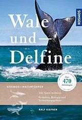 Kartonierter Einband (Kt) Wale und Delfine von Ralf Kiefner