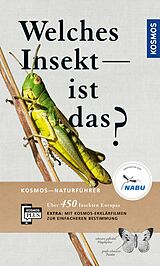 E-Book (epub) Welches Insekt ist das? von Heiko Bellmann