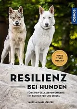 Kartonierter Einband (Kt) Resilienz bei Hunden von Vanessa Engelstädter