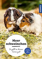 Kartonierter Einband Meerschweinchen von Viola Schillinger