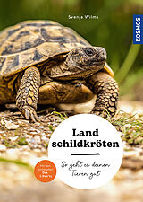 Kartonierter Einband Landschildkröten von Svenja Wilms