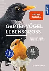 Kartonierter Einband Gartenvögel lebensgroß von Daniela Strauß