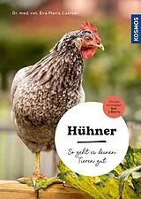 Kartonierter Einband (Kt) Hühner von Eva-Maria Casteel