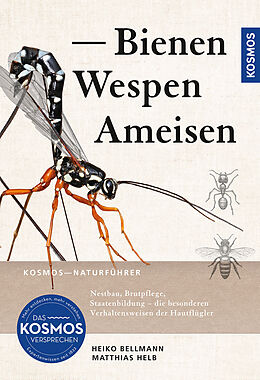 Kartonierter Einband Bienen, Wespen, Ameisen von Heiko Bellmann, Matthias Helb