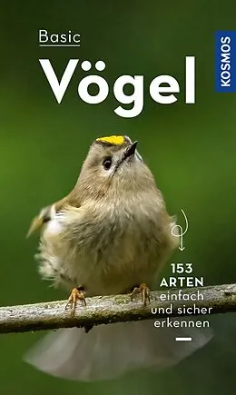 E-Book (pdf) BASIC Vögel von Volker Dierschke