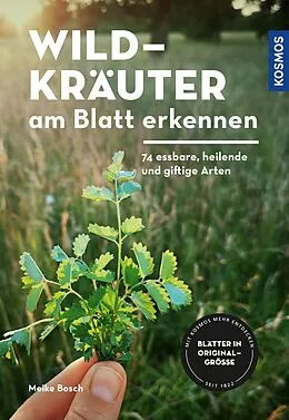 E-Book (pdf) Wildkräuter am Blatt erkennen von Meike Bosch