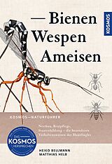 E-Book (pdf) Bienen, Wespen, Ameisen von Heiko Bellmann, Matthias Helb