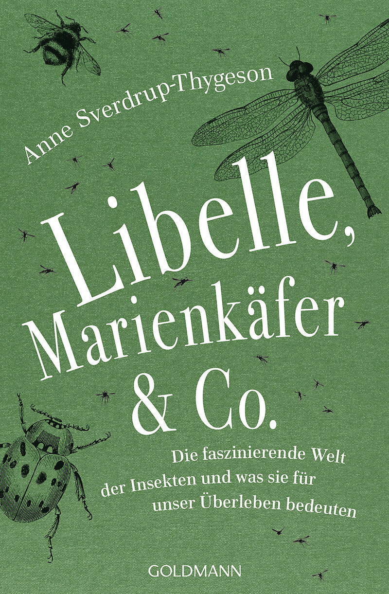 Libelle Marienkäfer Co