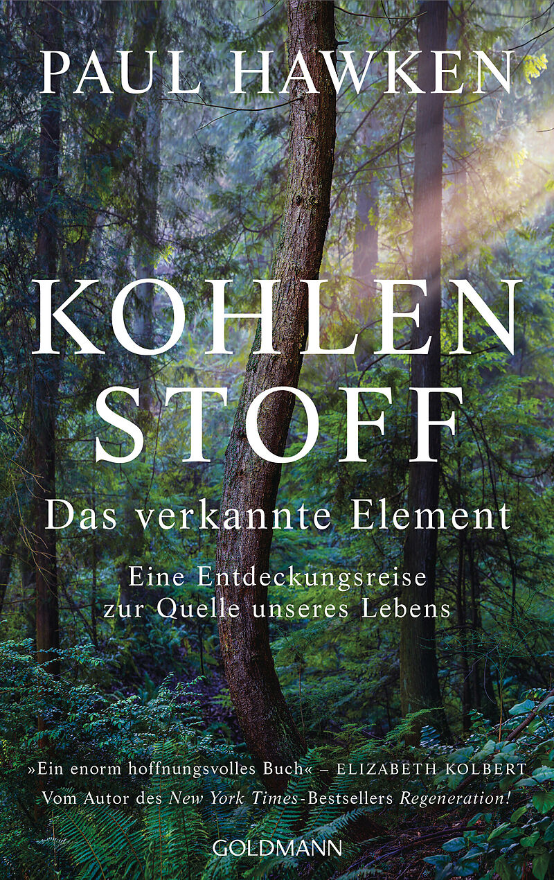 Kohlenstoff  Das verkannte Element