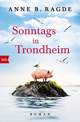 Kartonierter Einband Sonntags in Trondheim von Anne B. Ragde