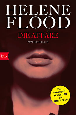 Kartonierter Einband (Kt) Die Affäre von Helene Flood
