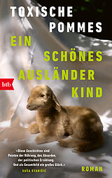 Kartonierter Einband Ein schönes Ausländerkind von Toxische Pommes