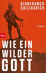 Kartonierter Einband Wie ein wilder Gott von Gianfranco Calligarich