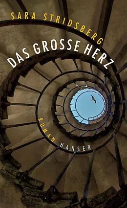 E-Book (epub) Das große Herz von Sara Stridsberg