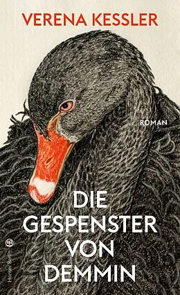 E-Book (epub) Die Gespenster von Demmin von Verena Keßler