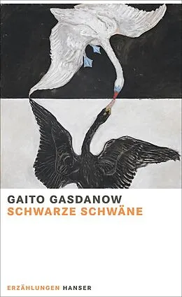 E-Book (epub) Schwarze Schwäne von Gaito Gasdanow