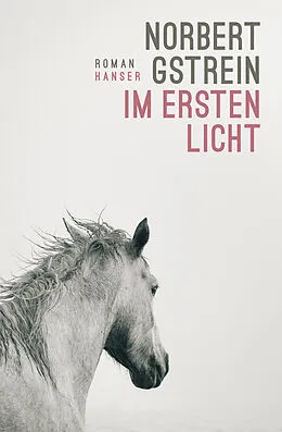 E-Book (epub) Im ersten Licht von Norbert Gstrein