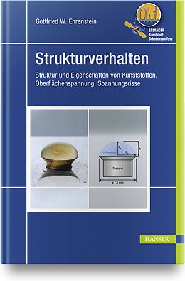 Fester Einband Strukturverhalten von Gottfried W. Ehrenstein