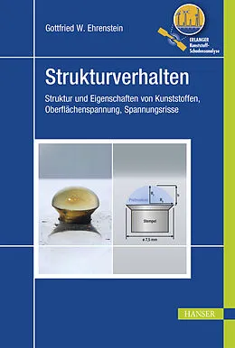 E-Book (pdf) Strukturverhalten von Gottfried W. Ehrenstein