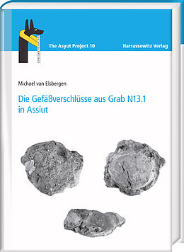 Fester Einband Die Gefäßverschlüsse aus Grab N13.1 in Assiut von Michael Van Elsbergen