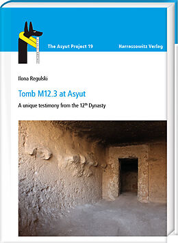 eBook (pdf) Tomb M12.3 at Asyut de Ilona Regulski