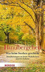 Kartonierter Einband (Kt) Hinübergehen von Monika Renz