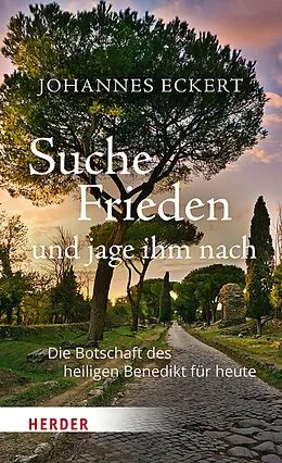 E-Book (epub) Suche Frieden und jage ihm nach von Johannes Eckert
