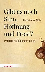 E-Book (pdf) Gibt es noch Sinn, Hoffnung und Trost? von Jean-Pierre Wils