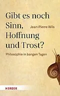 E-Book (pdf) Gibt es noch Sinn, Hoffnung und Trost? von Jean-Pierre Wils