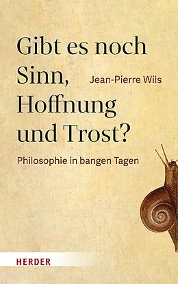 E-Book (pdf) Gibt es noch Sinn, Hoffnung und Trost? von Jean-Pierre Wils