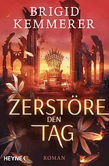 Kartonierter Einband Zerstöre den Tag von Brigid Kemmerer