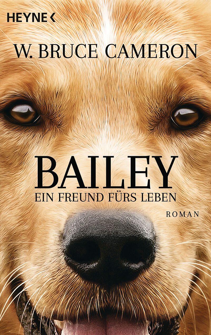 Bailey Ein Freund Fürs Leben Kostenlos Anschauen
