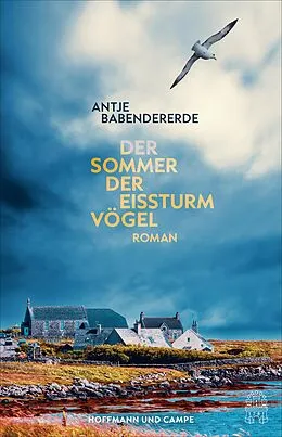E-Book (epub) Der Sommer der Eissturmvögel von Antje Babendererde