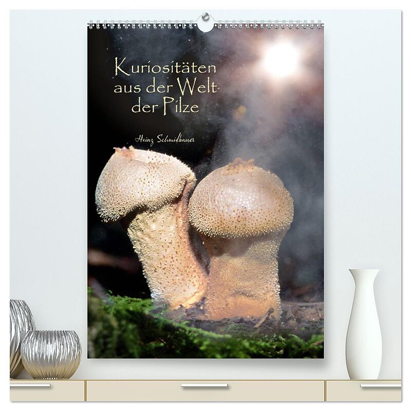 Kuriositäten aus der Welt der Pilze (hochwertiger Premium Wandkalender 2025 DIN A2 hoch), Kunstdruck in Hochglanz