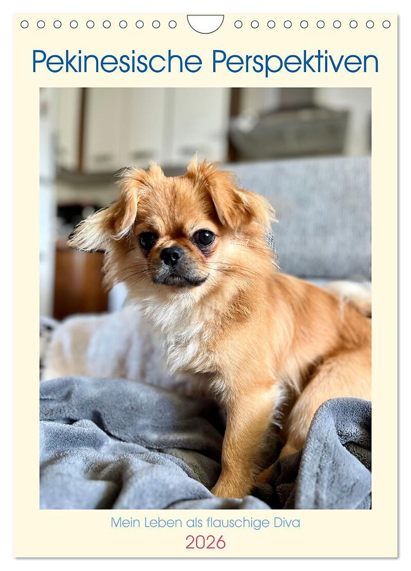 Pekinesische Perspektiven - Mein Leben als flauschige Diva (Wandkalender 2026 DIN A4 hoch), CALVENDO Monatskalender