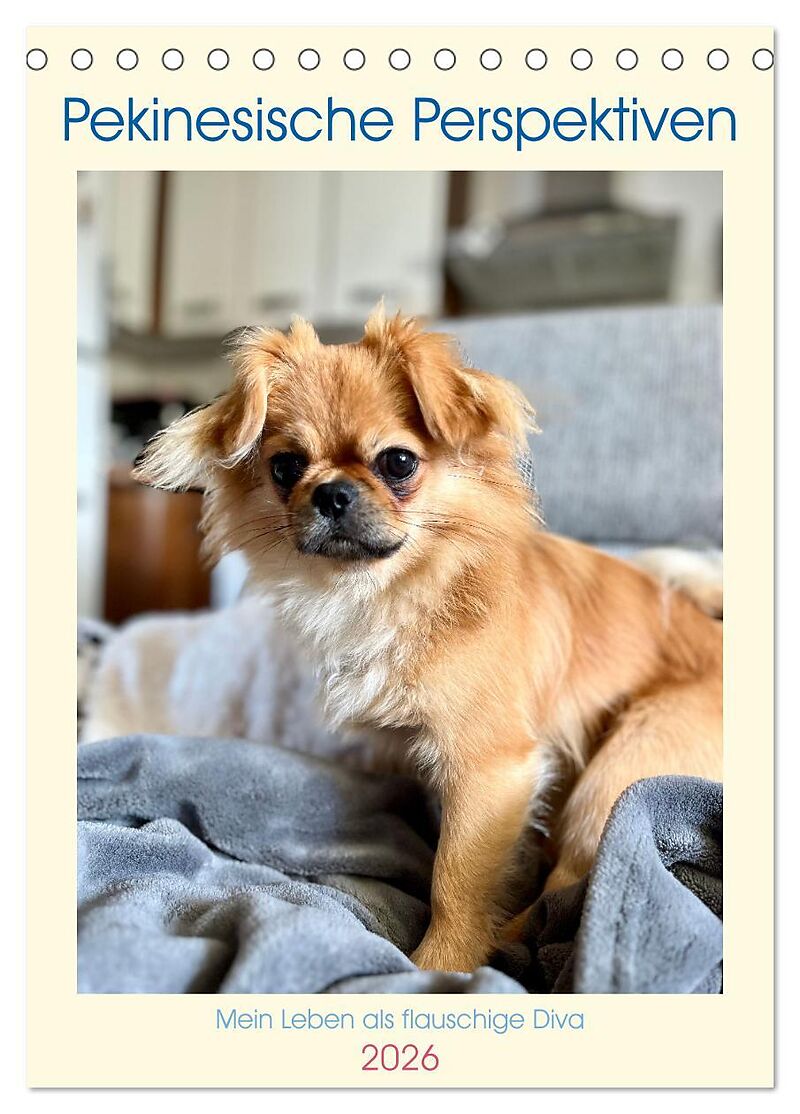 Pekinesische Perspektiven - Mein Leben als flauschige Diva (Tischkalender 2026 DIN A5 hoch), CALVENDO Monatskalender