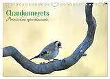 Kalender (Kal) Chardonnerets - Portraits d'une espèce éblouissante (Calendrier mural 2026 DIN A4 vertical), CALVENDO calendrier mensuel von Jérôme Aupeix