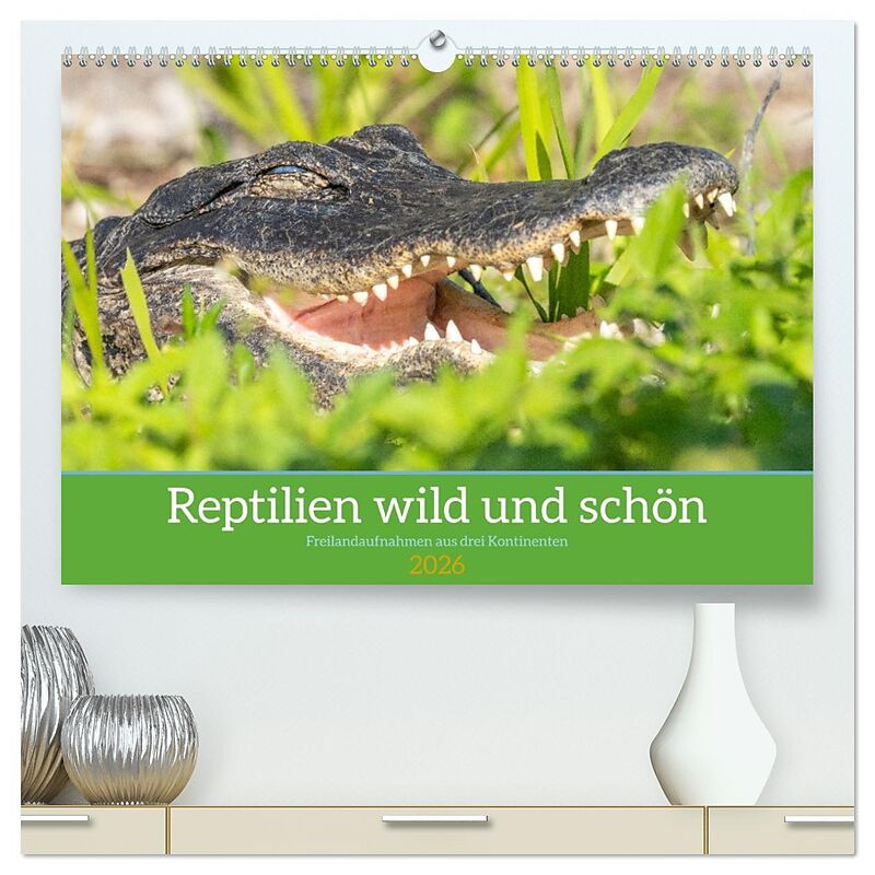 Reptilien wild und schön (hochwertiger Premium Wandkalender 2026 DIN A2 quer), Kunstdruck in Hochglanz