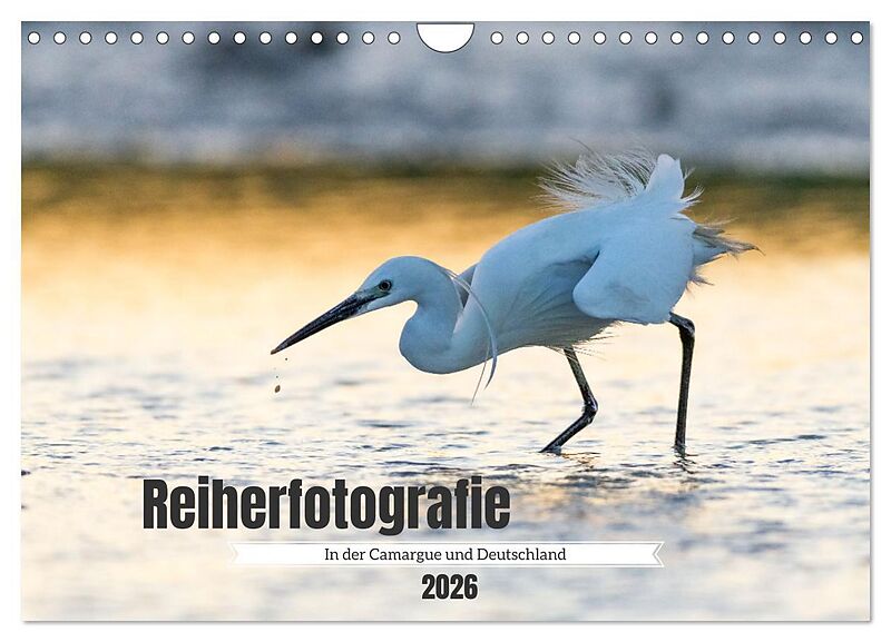 Reiherfotografie (Wandkalender 2026 DIN A4 quer), CALVENDO Monatskalender