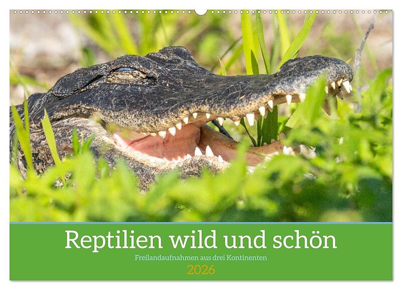 Reptilien wild und schön (Wandkalender 2026 DIN A2 quer), CALVENDO Monatskalender