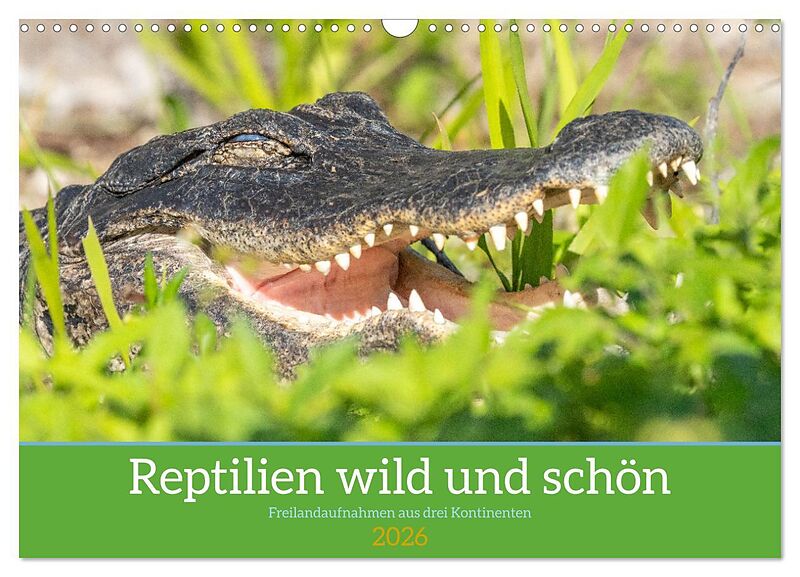 Reptilien wild und schön (Wandkalender 2026 DIN A3 quer), CALVENDO Monatskalender