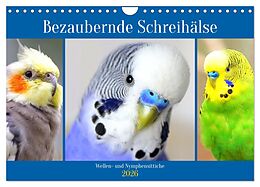 Kalender Bezaubernde Schreihälse. Wellen- und Nymphensittiche (Wandkalender 2026 DIN A4 quer), CALVENDO Monatskalender von Calvendo, Rose Hurley