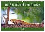 Kalender Im Regenwald von Borneo (Wandkalender 2026 DIN A2 quer), CALVENDO Monatskalender von Klaus Eppele